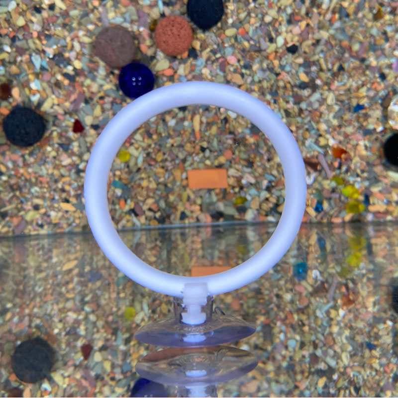 1pcs Plastic Fish Tank Aquariu - Gymnastics Rings recension och pris