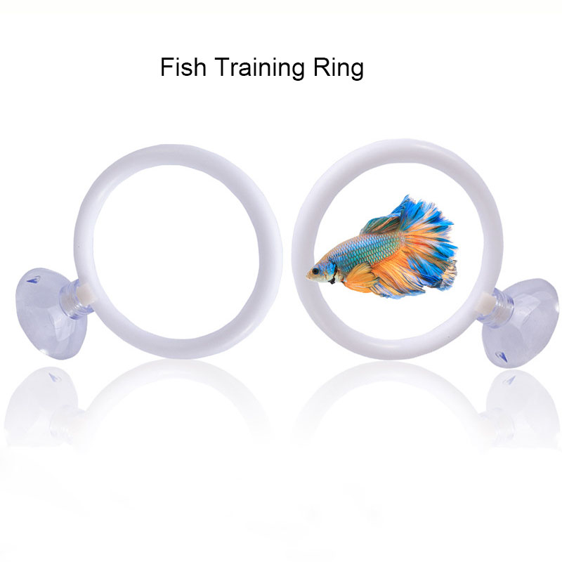 1pcs Plastic Fish Tank Aquariu - Gymnastics Rings recension och pris