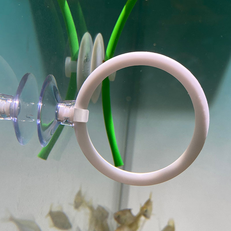 1pcs Plastic Fish Tank Aquariu - Gymnastics Rings recension och pris